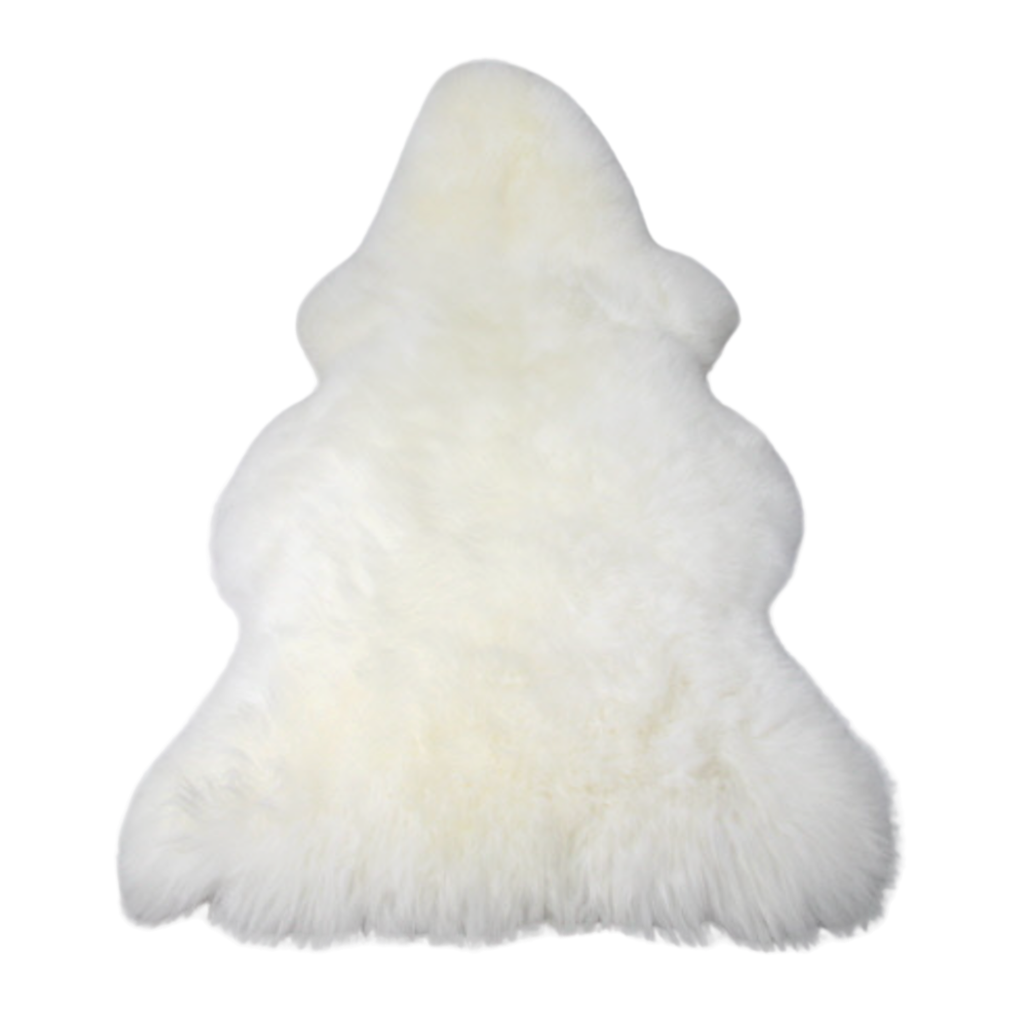 White Australian sheepskin wool decorative sheepskin rug on a white background