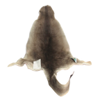 Grey Australian kangaroo, genuine skin hide on a clear background