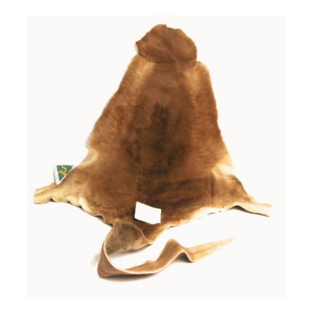 Red Australian kangaroo genuine skin hide on a white background