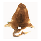 Red Australian kangaroo genuine skin hide on a white background