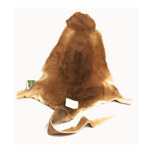 Red Australian kangaroo genuine skin hide on a white background
