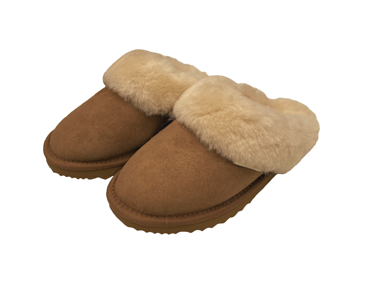 Pair of brown slippers, scuffs, slides with Australian sheepskin wool fur trim on a white background